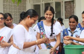 කඩල සහ බෙලි මල් දන්සල 2025